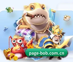 BOB体育的故事